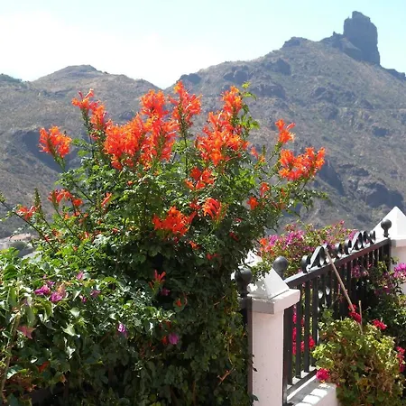 Casita Roque Nublo Tejeda (Gran Canaria)