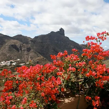 Casita Roque Nublo Ferienhaus *