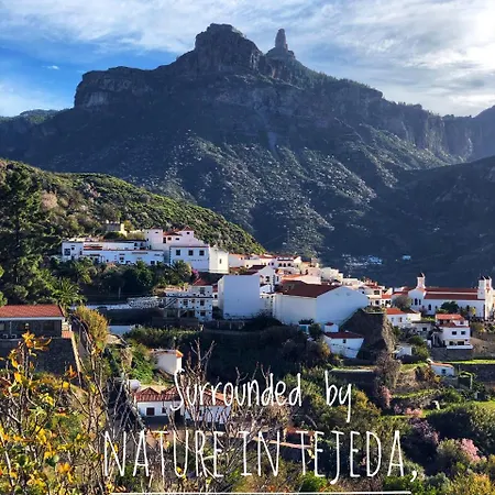 Casita Roque Nublo Ferienhaus
