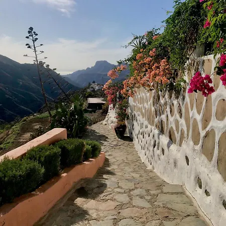 Casita Roque Nublo 테헤다